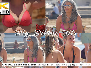 Big Bikini Tits - BeachJerk