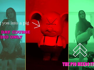 Learn How to Be a Pig the 5 Day Course Sniff Oink JOI All Pics Are Me