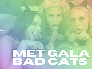 Met Gala Bad Cats - VR Porn PMV By Private Jet - PrivateJet